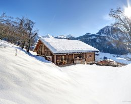 Ferme d'alpage avec vue magnifique