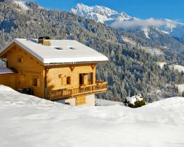 Séjour alpin pour 8, sauna & terrasse