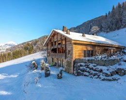 Séjour alpin tout luxe pour 15 - piscine et spa