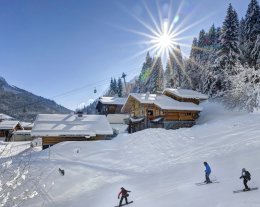 Skis aux pieds en famille 8p - sauna et fitness