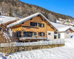 Séjour alpin 9p avec accès facile aux pistes