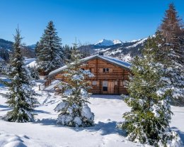 Les Gets - jacuzzi, sauna et jardin