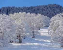 Chalet La Tanniere