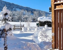 Chalet des 3 petites sorcieres