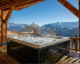 Au calme pour 10 avec sauna et jacuzzi