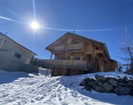 CHALET COSY BOIS MASSIF