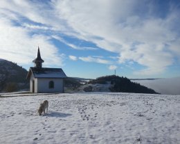 Nid Douillet -CHEMINEE et descente luge sur place - HAMMAM - balnéo PÉTANQUE - TENNIS - QUILLES - animaux - jardin - JEUX - proche Gérardmer la Bresse Ventron aux portes de l'Alsace.  PISCINE de mi mai à fin septembre 