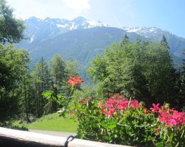  Chalet individuel en pleine nature au pays du Mont Blanc 
