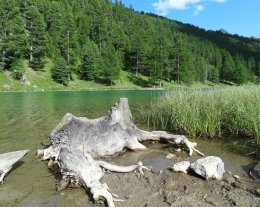 Appartement dans chalet plein sud face aux pistes