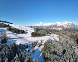 La Combe à l'Aigle - Charmant chalet au coeur de l'Espace Diamant