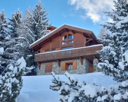 La Plagne Montalbert - Chalet les Arolles B