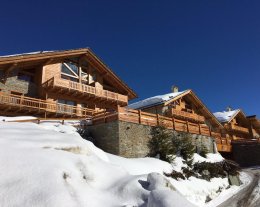 Chalet Skidor