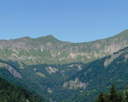 Chalet D, les Petits Tétras