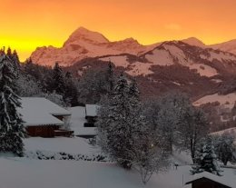 LES ECRINS DU MONT BLANC apt 7