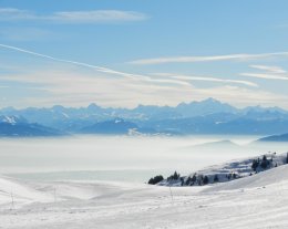 Chalet le Chamois