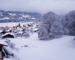 Appartement dans chalet été hiver