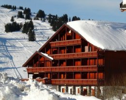 Le Cristal des Neiges