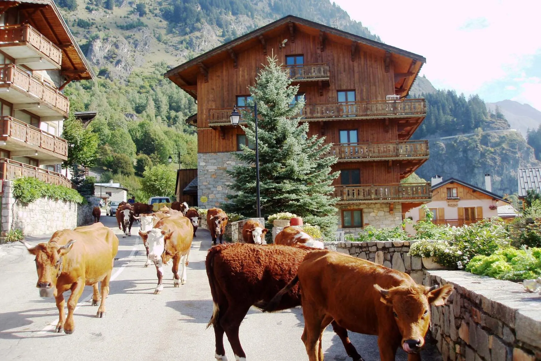 The chalets Bellecôte & Bouquetin in summer