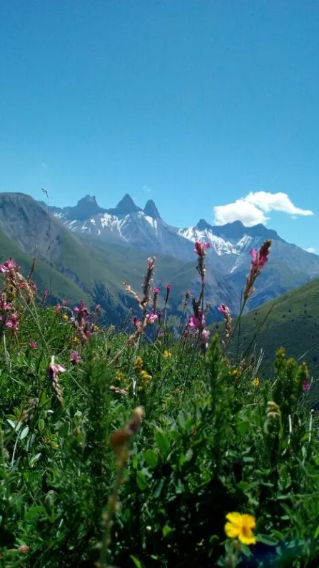 Aiguilles vues des alpages