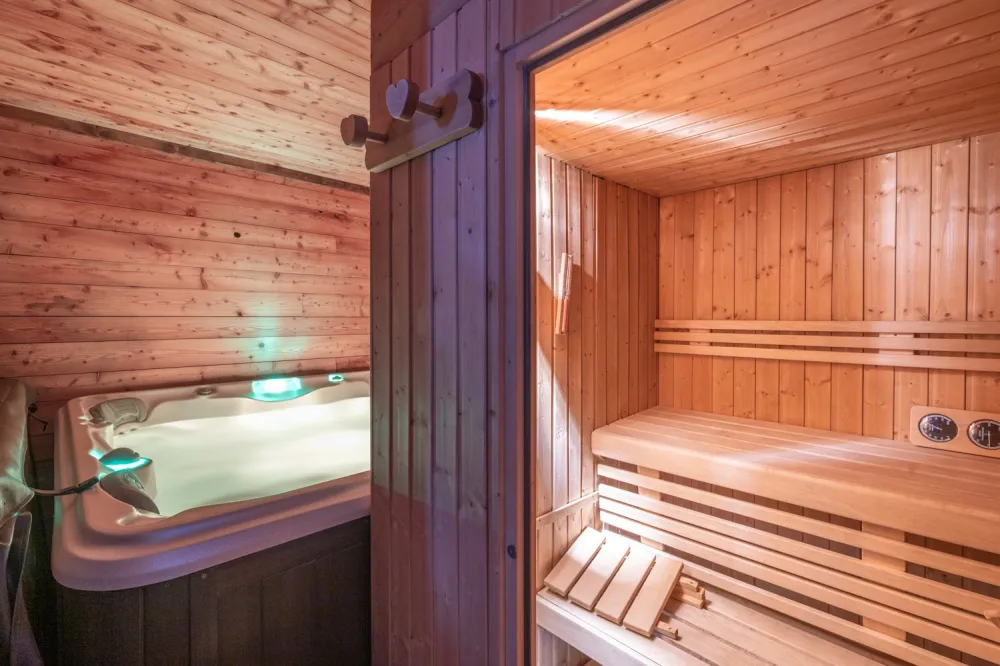 Espace détente au rez de chaussé, sauna jacuzzi et douche