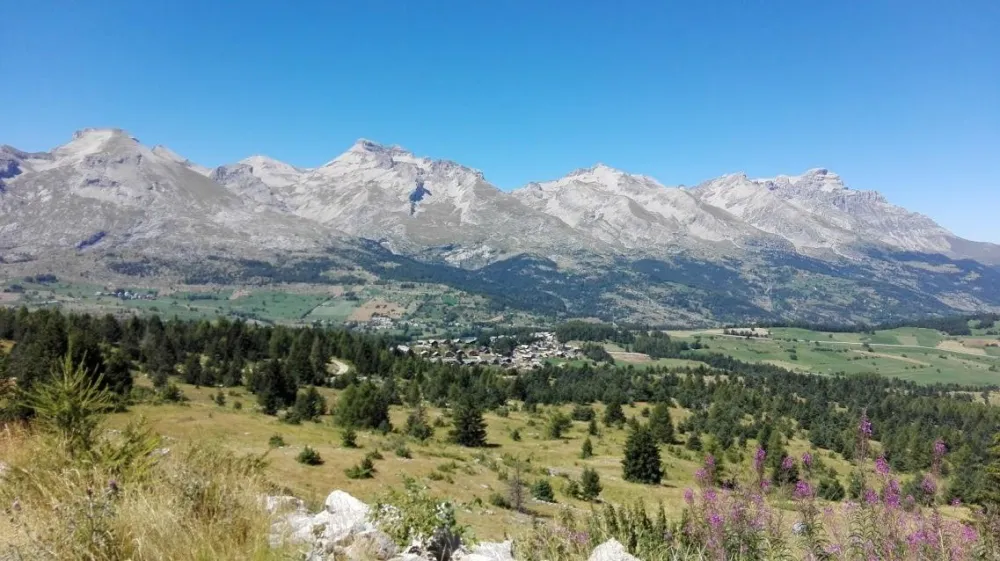 paysage en été