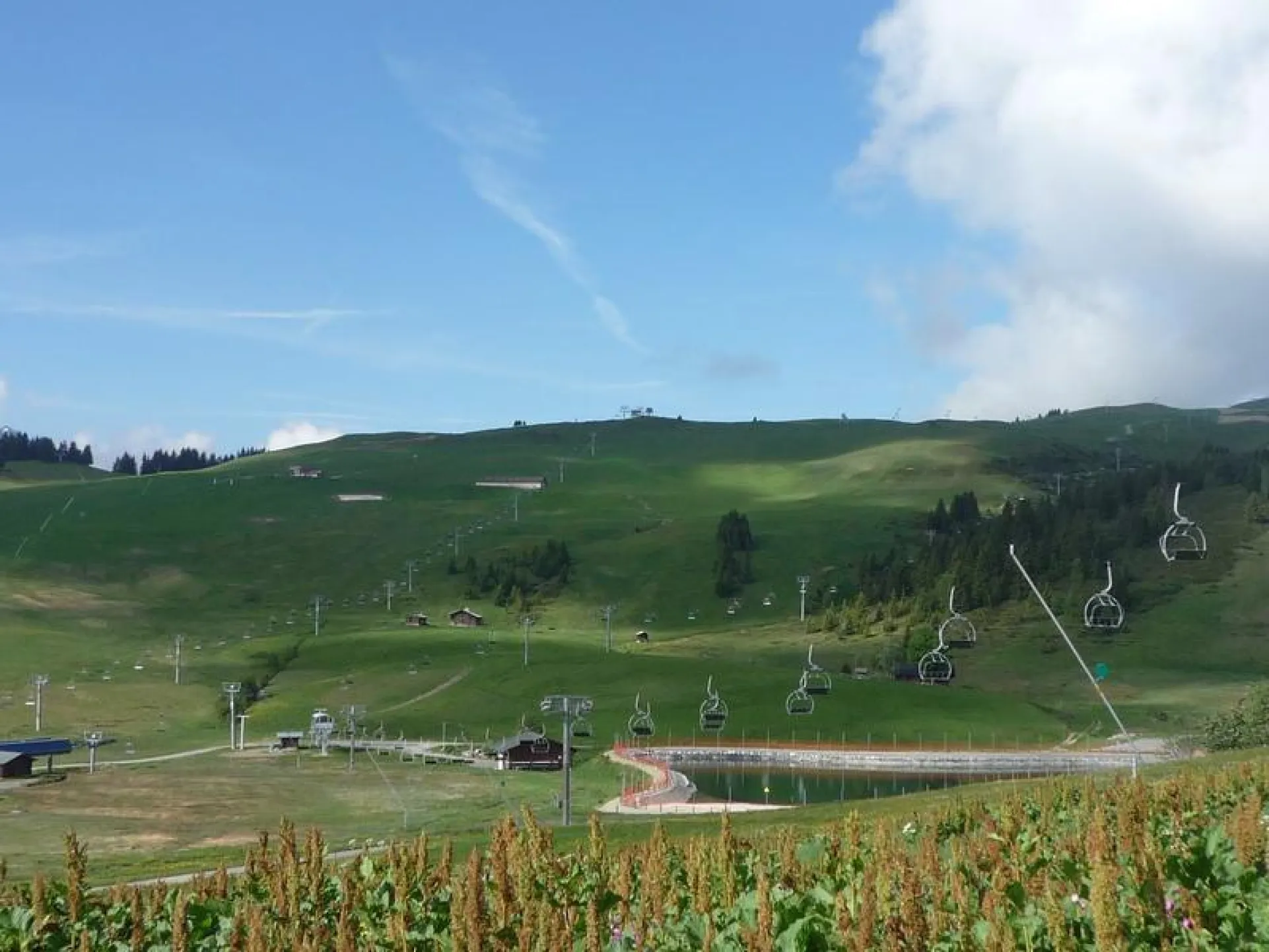 Vue de la fenêtre l'été