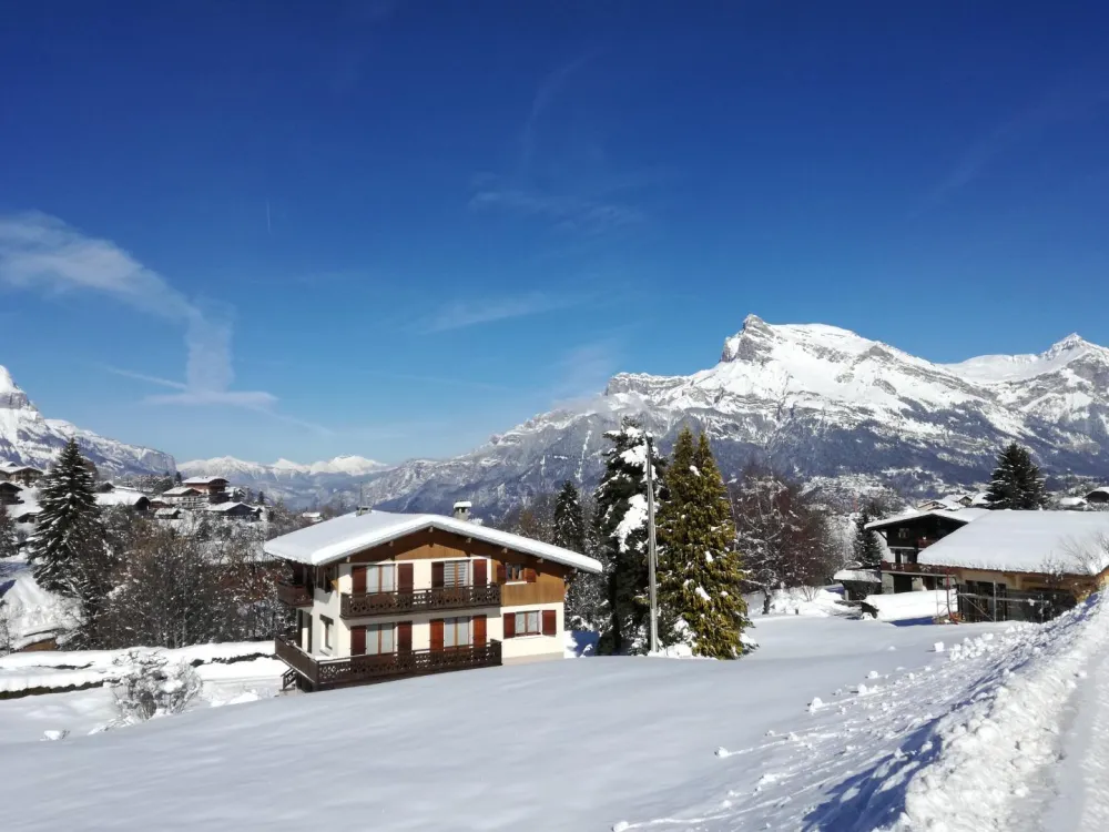 En arrière plan, vue sur la chaine de Aiguilles des Warens