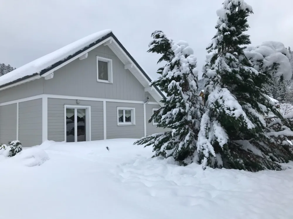 Vue sous la neige
