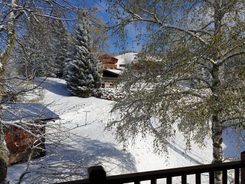Vue du balcon
