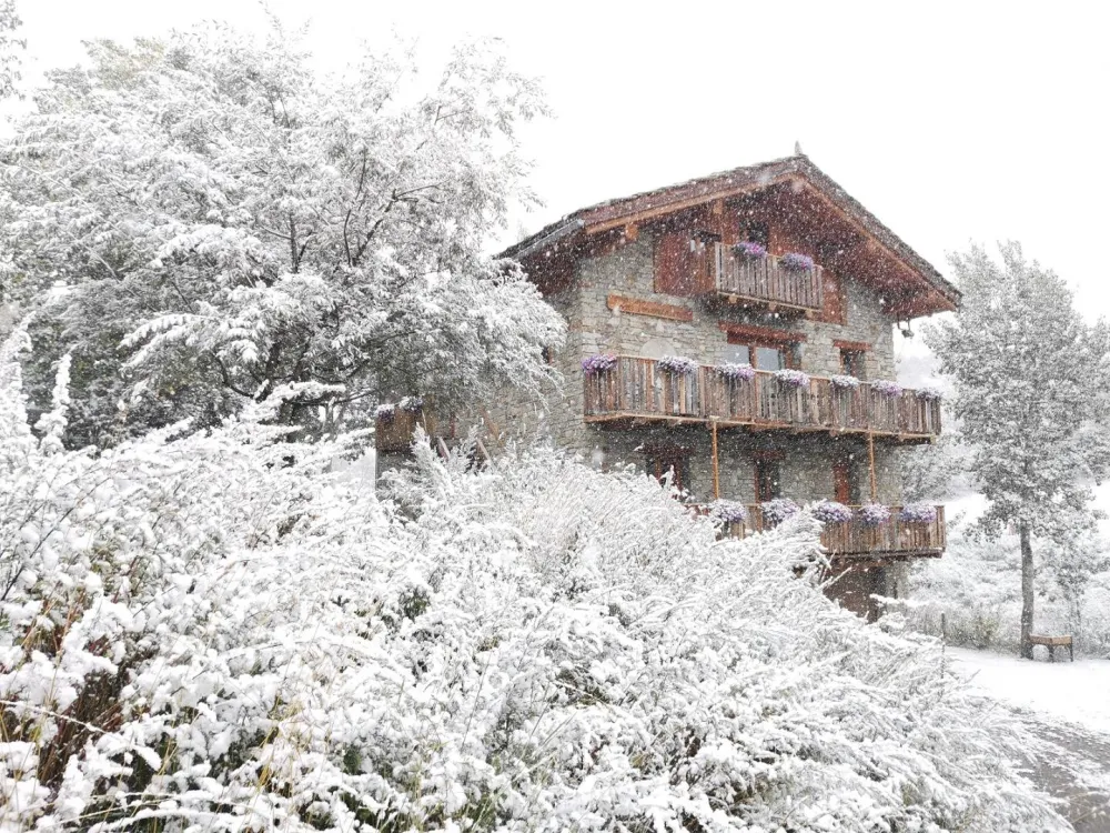 La tourmentine duplex