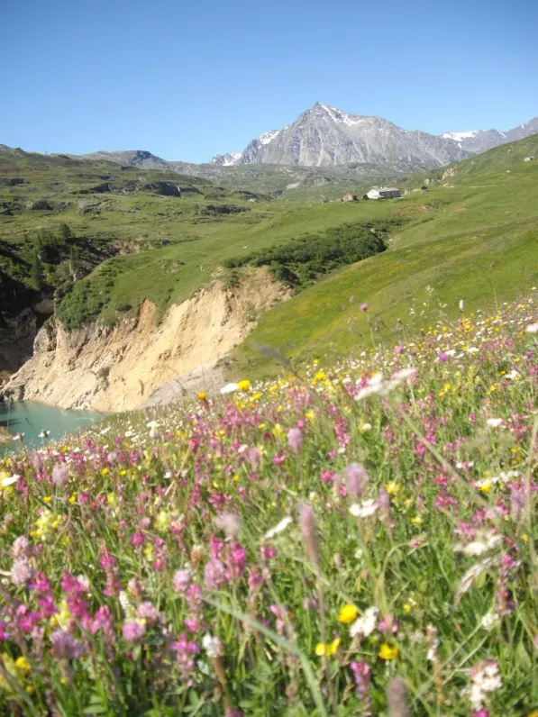vue du chalet depuis le lac