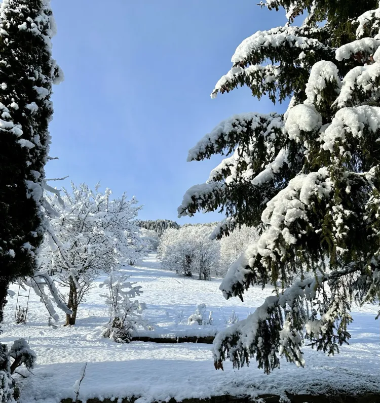 Chalet la tanniere
