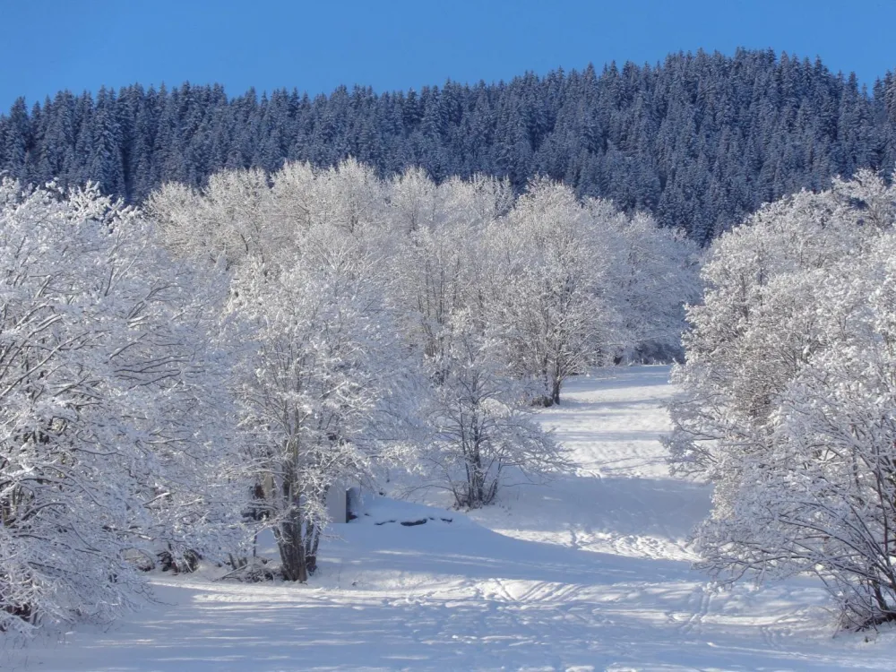 vue de la terrasse arrière l'hiver