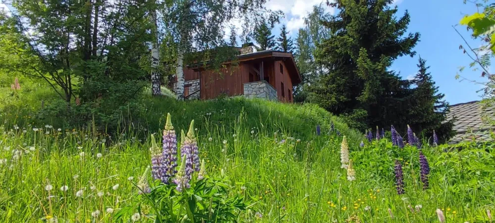 Chalet privatif pour 10 personnes aux coches - paradiski