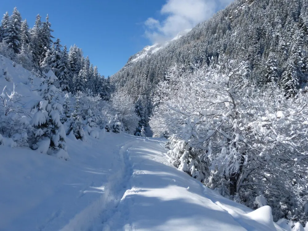 Piste du Jeu