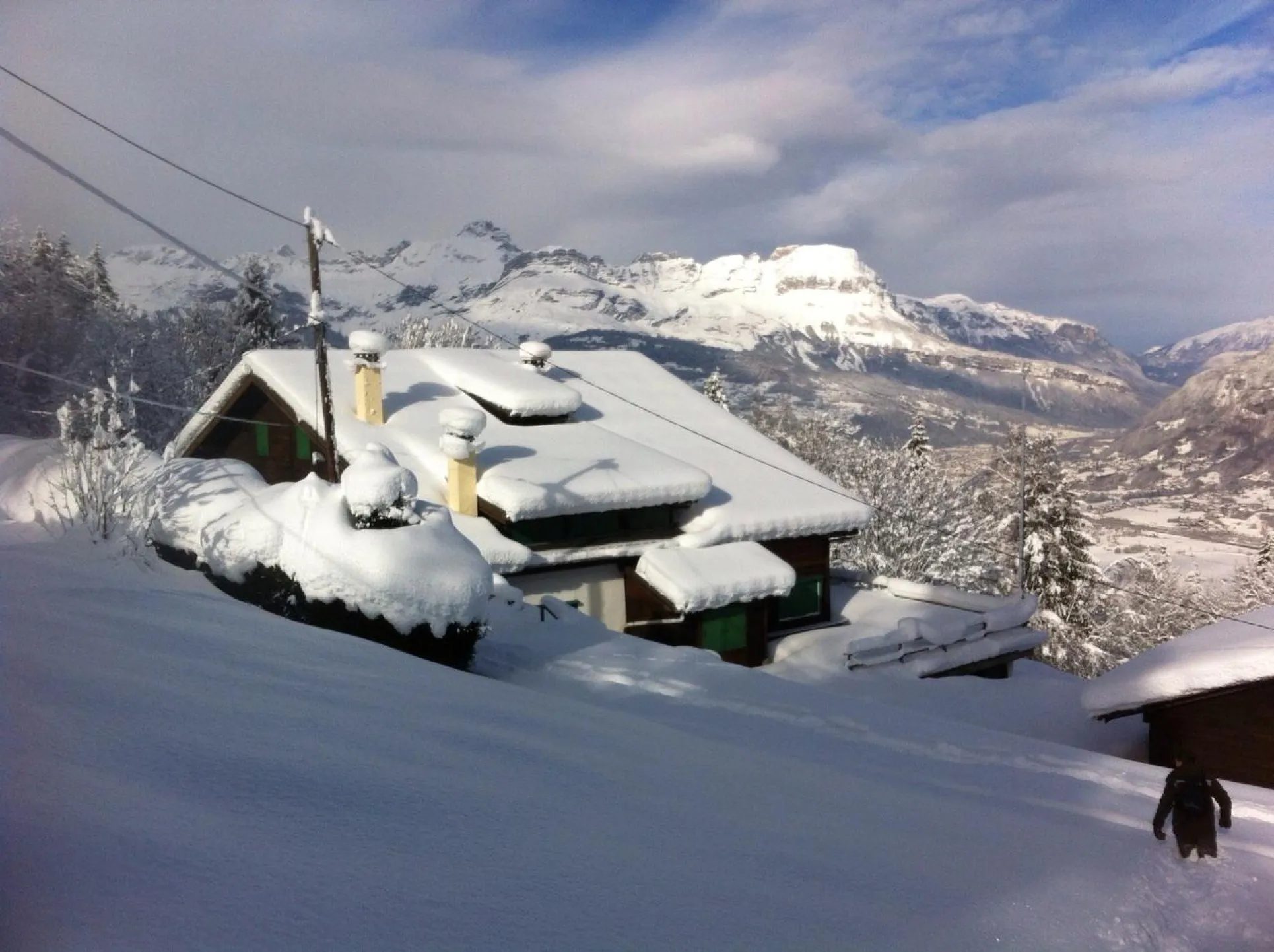 La bruyère
