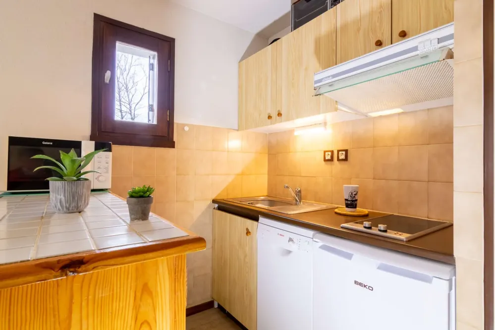 Appartement 6 personnes à vielle aure