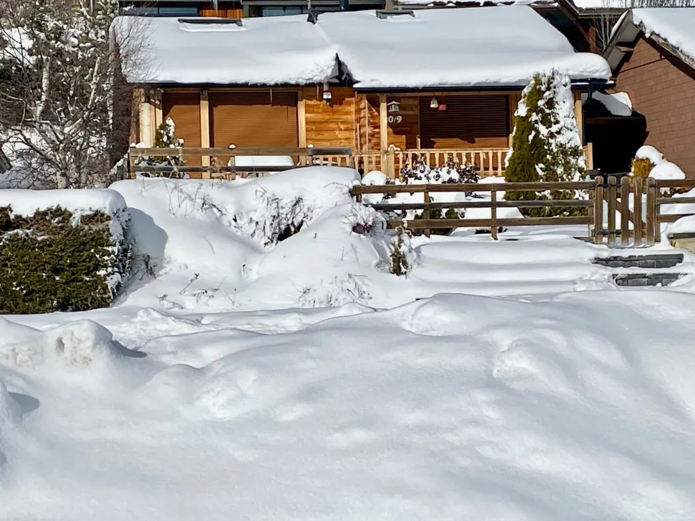 Chalet bois, centre station, pistes p2000 7mn à pied, fibre