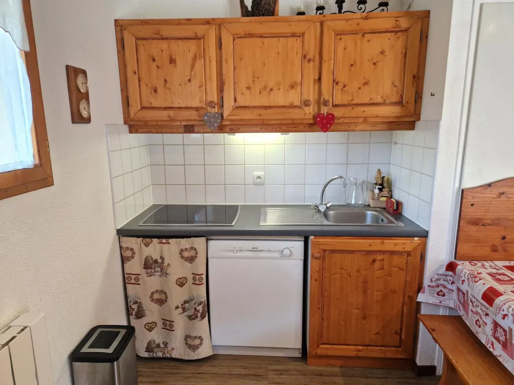 Appartement avec vue massif de la vanoise 4/6 pers