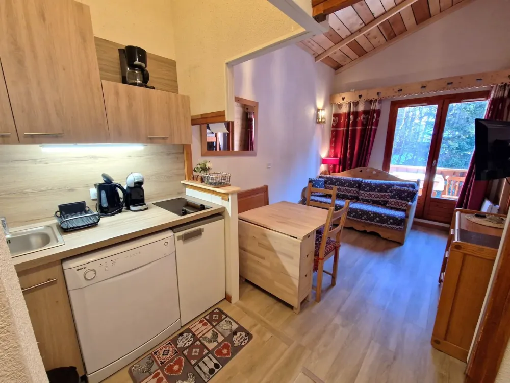 2 pieces 4/6 personnes 25m² centre station
