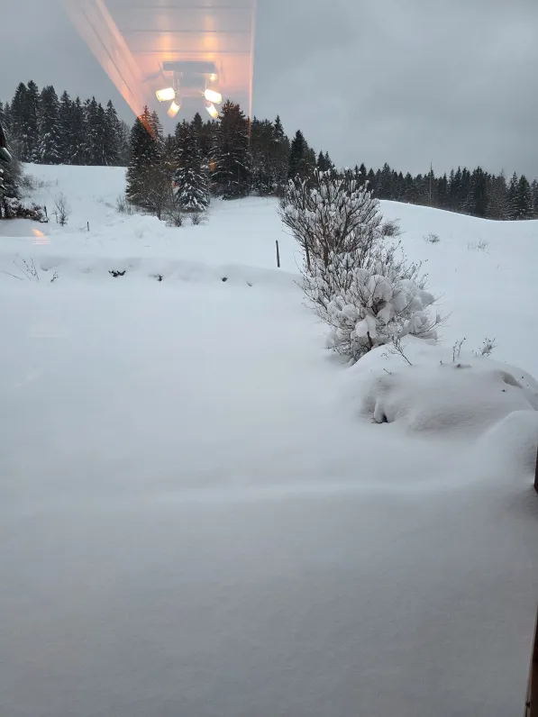 Chalet appartement bois joli