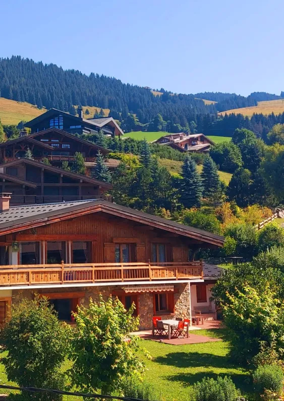The stardocheu