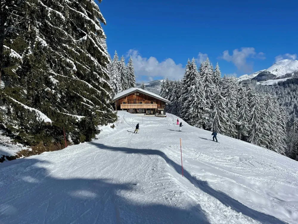 Vue de la propriété sur les pistes
