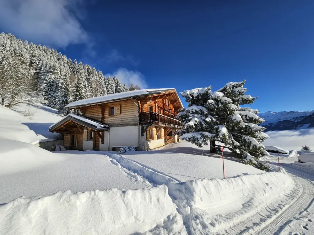 Grand chalet familial dans le beaufortin