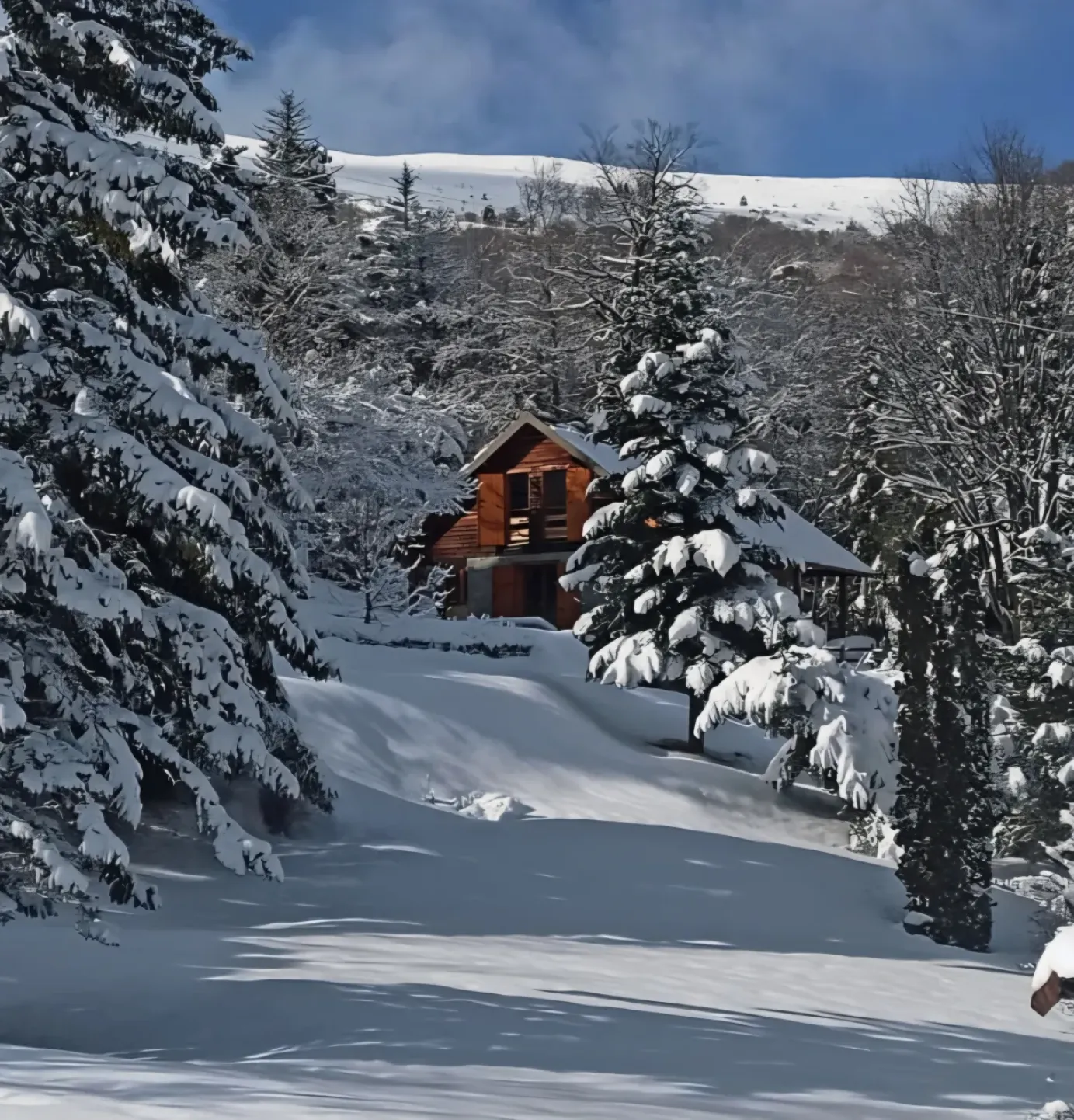 2500 m2 de terrain pour luge ......