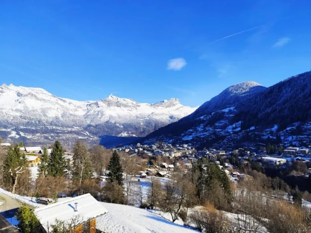 Le montagnard