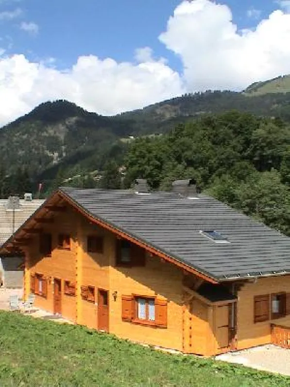 vue arrière du chalet  avec 2 entrées coté jardin   en été  espace barbecue à l arriere du chalet avec aire de pétanque et jeux enfants partiellement clôturé.