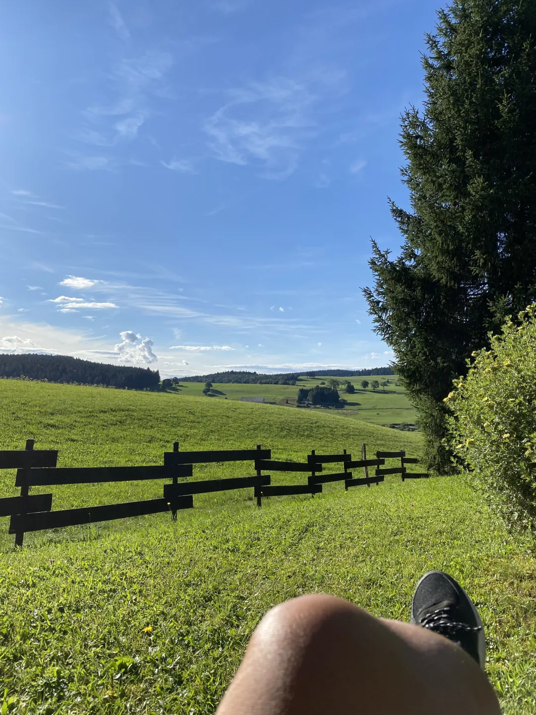Vue depuis la facade du chalet 