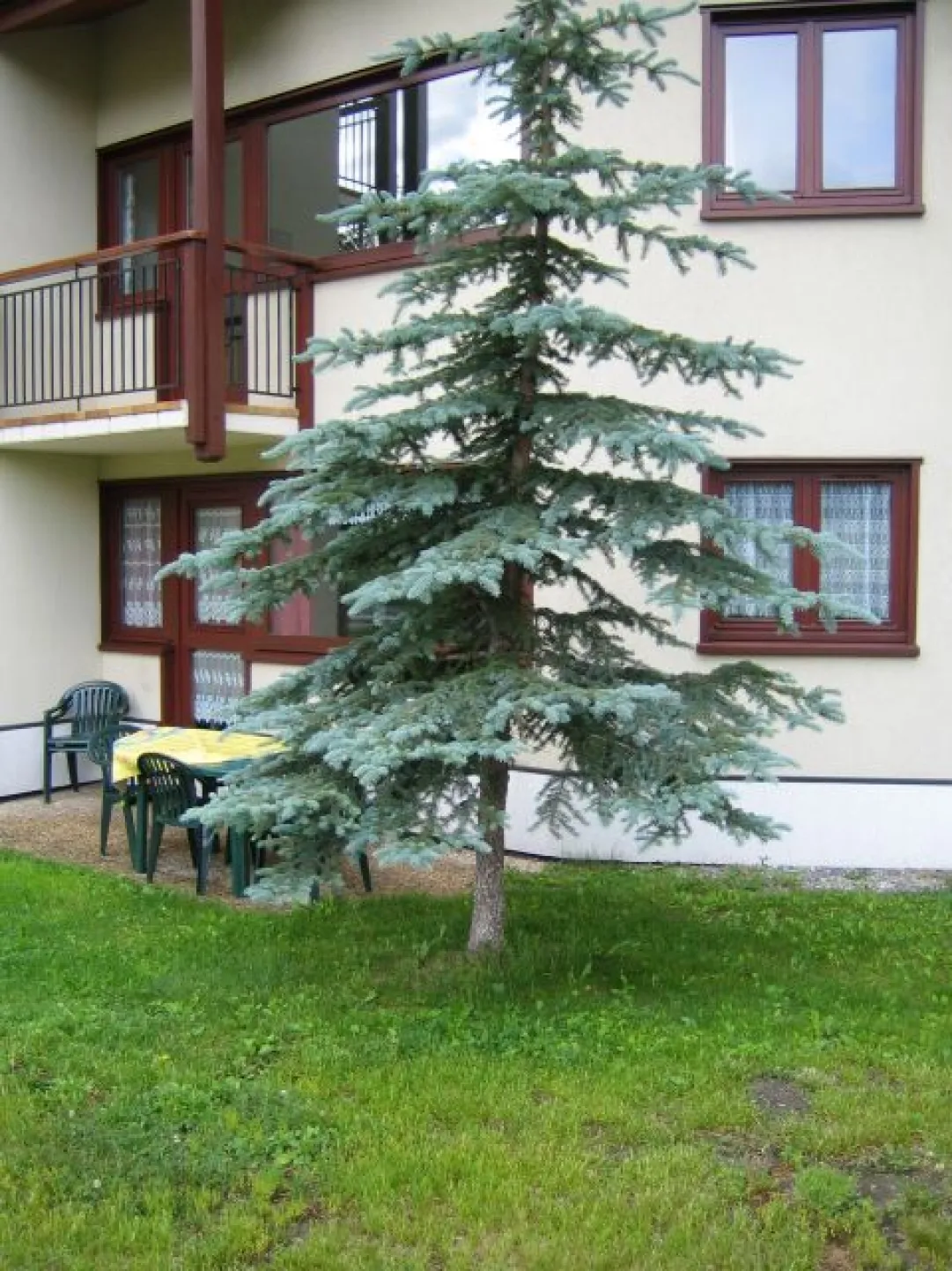 Terrasse devant l'appartement
