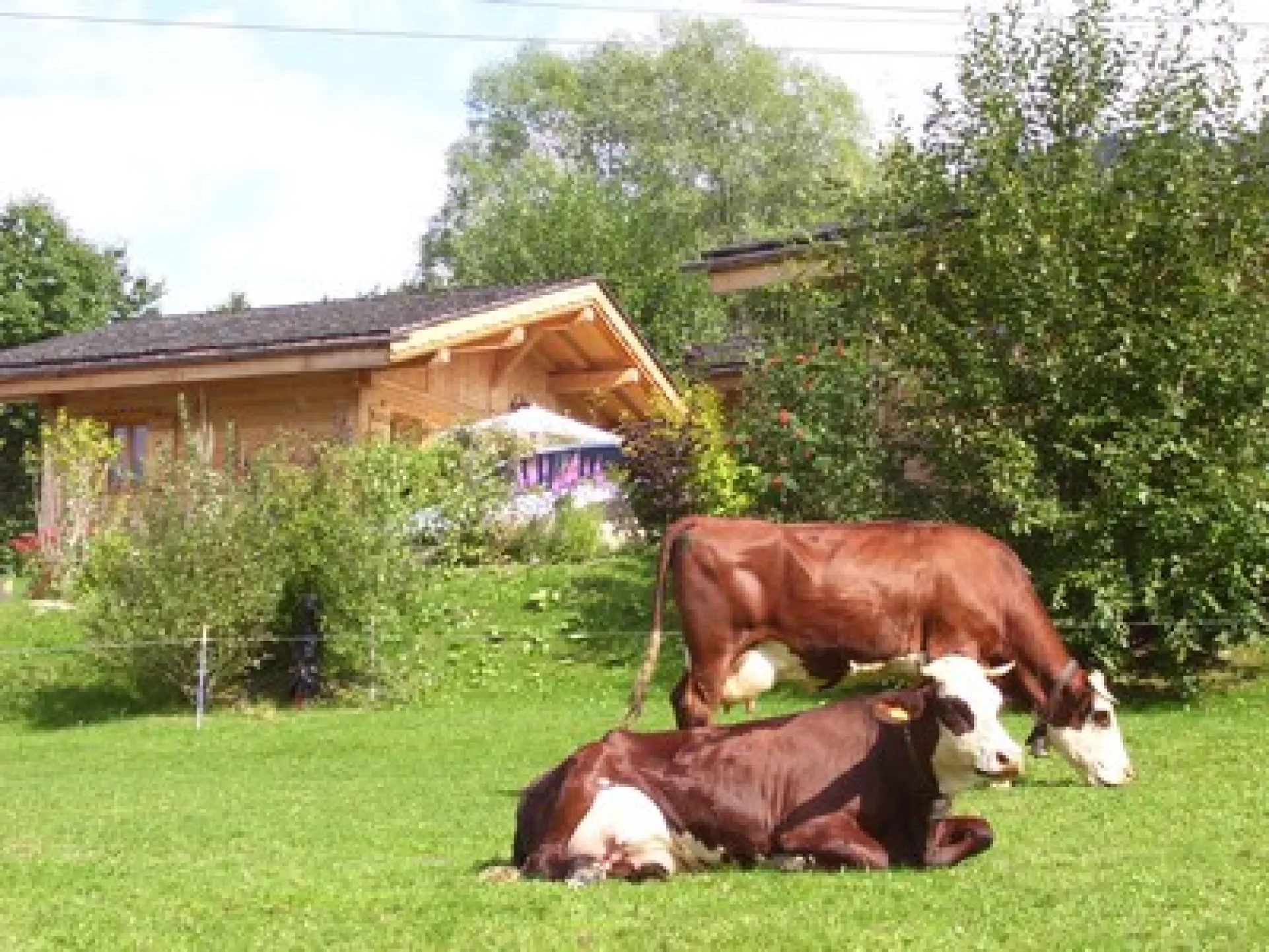 Vous êtes au calme au pays du MONT BLANC